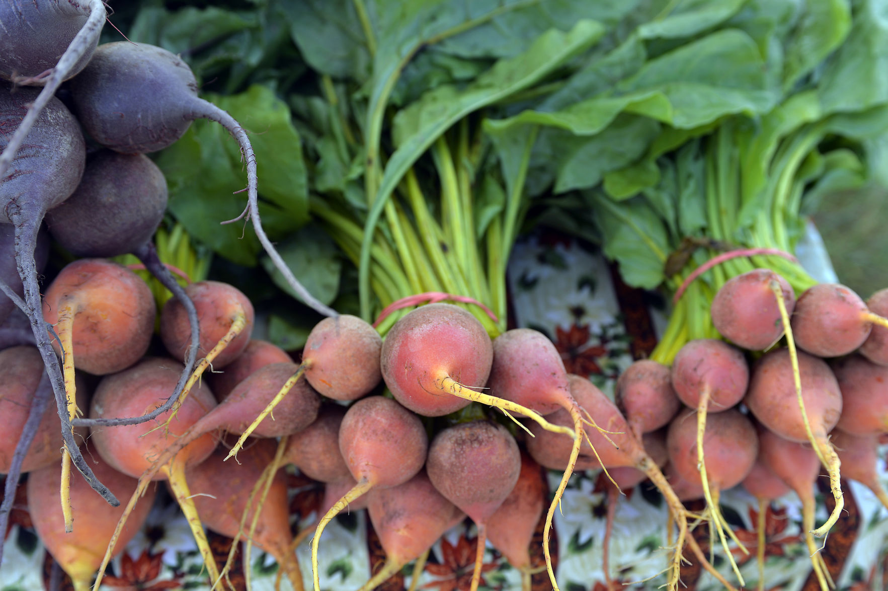 HARBORMARKET FOOD PAGE
